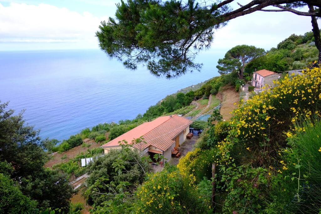 vista Campiglia