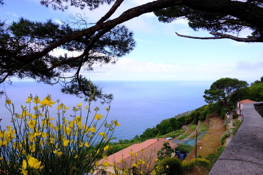 Campiglia