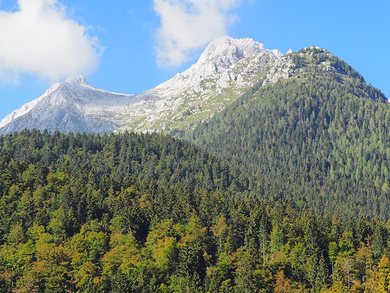 panorama Alpi Giulie
